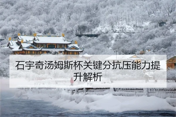 shi-yu-qi-tang-mu-si-bei-guan-jian-fen-kang-ya-neng-li-ti-sheng-jie-xi-3-659.jpg