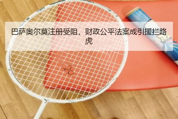 ba-sa-ao-er-mo-zhu-ce-shou-zu-cai-zheng-gong-ping-fa-an-cheng-yin-yuan-lan-lu-hu-3-455.jpg