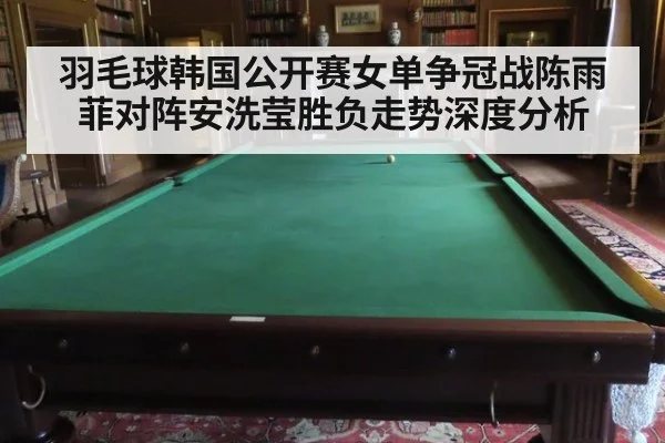 羽毛球韩国公开赛女单争冠战陈雨菲对阵安洗莹胜负走势深度分析