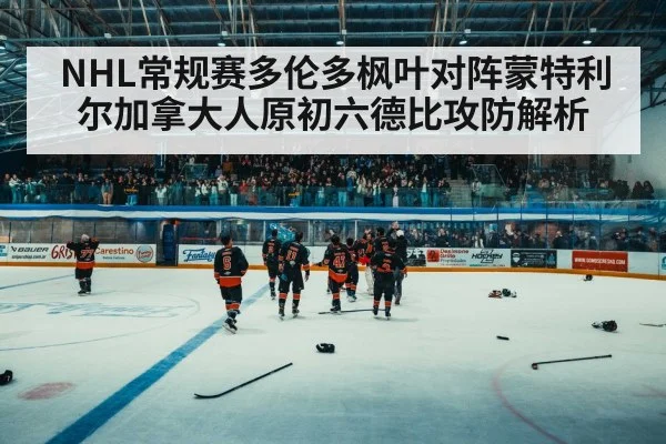 NHL常规赛多伦多枫叶对阵蒙特利尔加拿大人原初六德比攻防解析