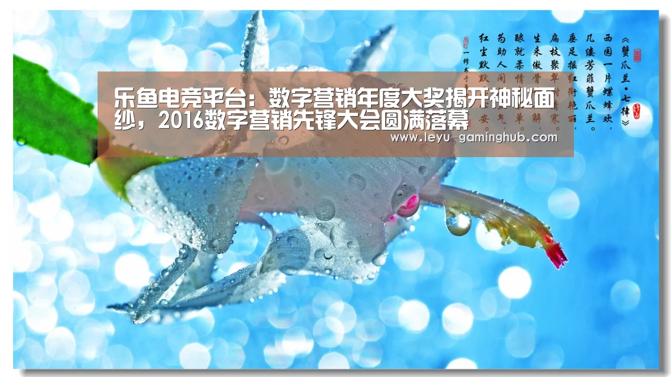 乐鱼电竞平台：数字营销年度大奖揭开神秘面纱，2016数字营销先锋大会圆满落幕