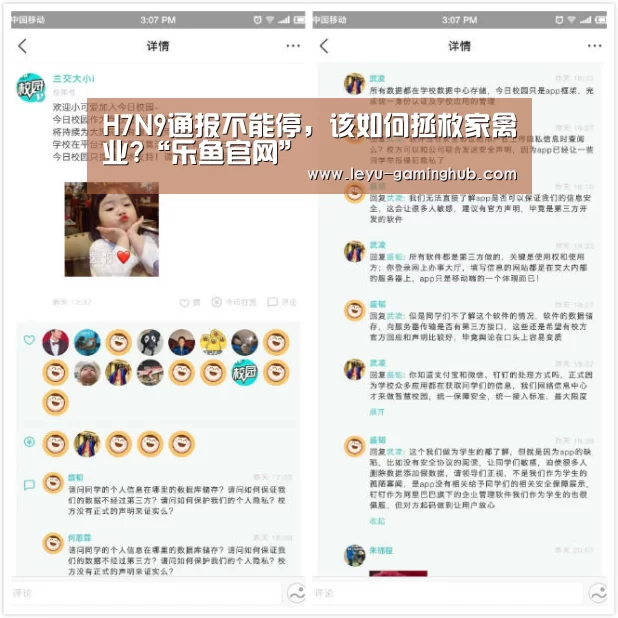 H7N9通报不能停，该如何拯救家禽业?“乐鱼官网”