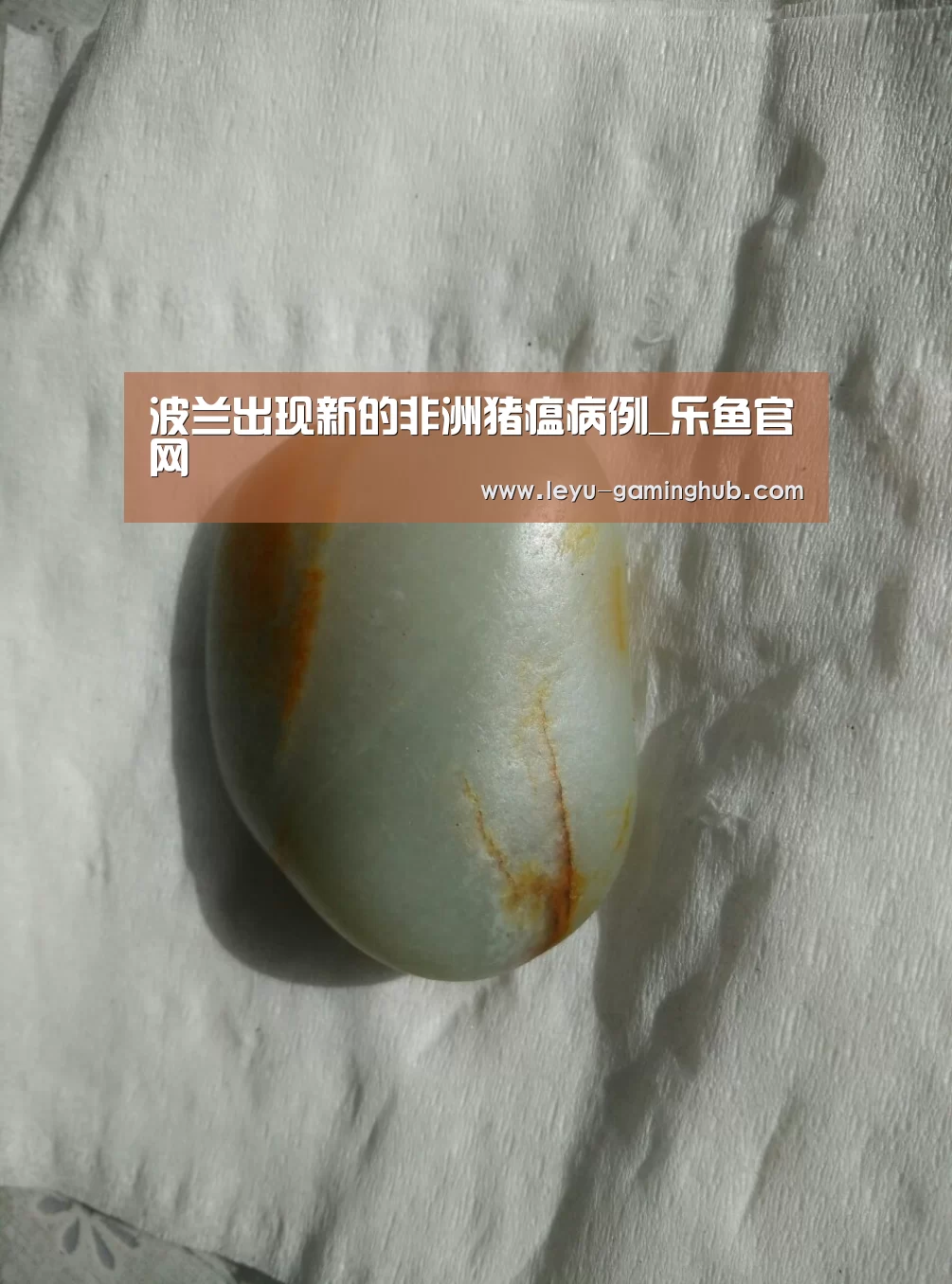 乐鱼官网