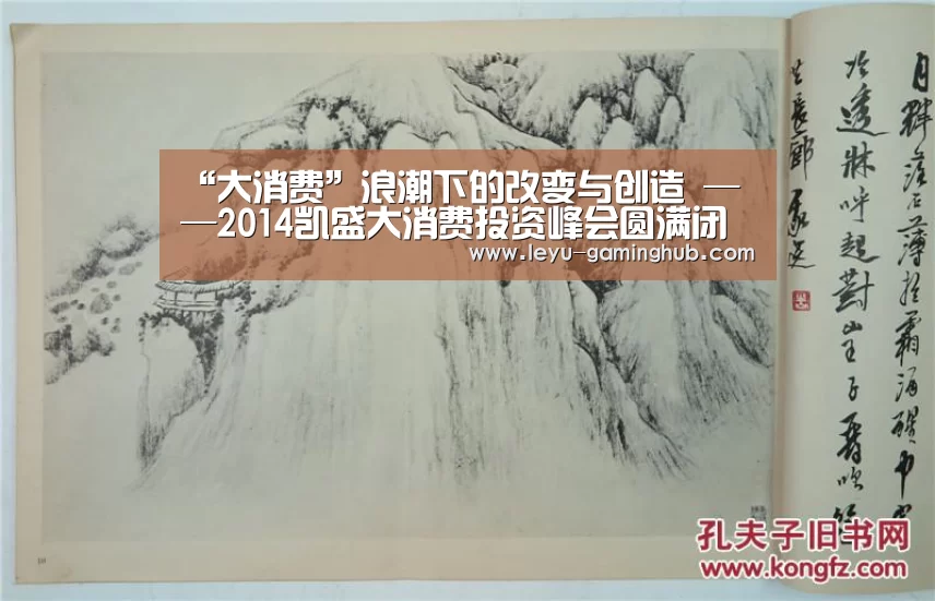“大消费”浪潮下的改变与创造 ——2014凯盛大消费投资峰会圆满闭幕:乐鱼官网