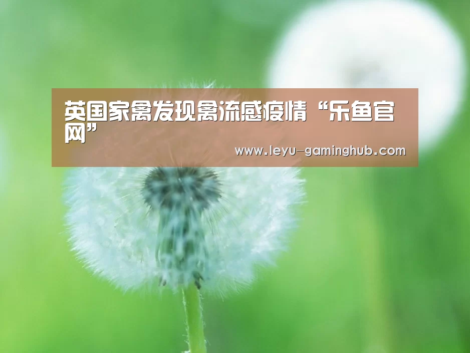 英国家禽发现禽流感疫情“乐鱼官网”(图1) 乐鱼篮球竞猜