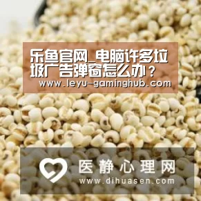 乐鱼官网_电脑许多垃圾广告弹窗怎么办?只需几个小步骤,跟垃圾广告说再见